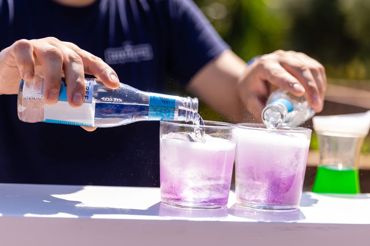 Resultado del evento Novarama Summer 2022 — producción Bacus Events